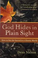 God Hides in Plain Sight: Cum să vezi sacrul într-o lume haotică - God Hides in Plain Sight: How to See the Sacred in a Chaotic World