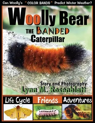 Ursul lânos, omida bandajată: Ciclul de viață, prieteni și aventuri - Woolly Bear the Banded Caterpillar: Life Cycle, Friends and Adventures