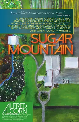 Muntele de zahăr - Sugar Mountain