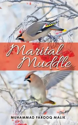 Încurcătură maritală - Marital Muddle