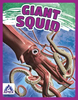 Calmar gigant - Giant Squid