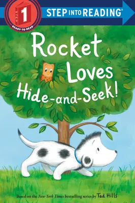 Rachetei îi place să se ascundă și să caute! - Rocket Loves Hide-And-Seek!