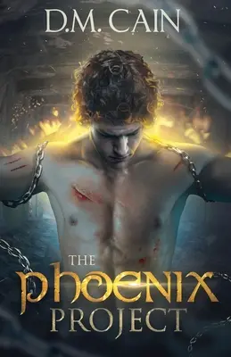 Proiectul Phoenix - The Phoenix Project