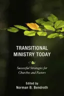 Transitional Ministry Today: Strategii de succes pentru biserici și pastori - Transitional Ministry Today: Successful Strategies for Churches and Pastors