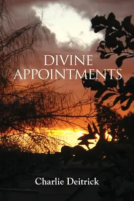 Numiri divine - Divine Appointments