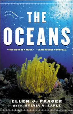 Oceanele - The Oceans