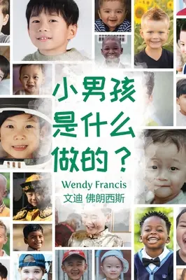 Din ce sunt făcuți băiețeii? (Ediție în limba chineză) - What are little boys made of? (Chinese Language Edition)