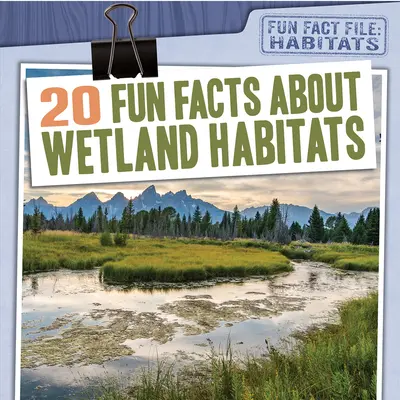 20 de fapte amuzante despre habitatele zonelor umede - 20 Fun Facts about Wetland Habitats
