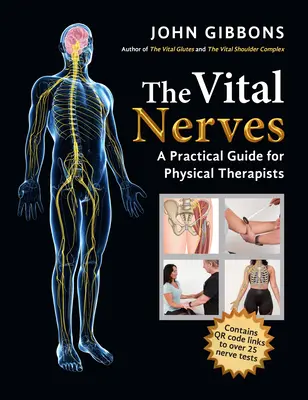 Nervii vitali: Un ghid practic pentru kinetoterapeuți - The Vital Nerves: A Practical Guide for Physical Therapists