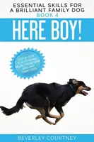 Lasă băiatul! Pas cu pas către o rechemare uimitoare de la câinele tău de familie genial - Here Boy!: Step-by-Step to a Stunning Recall from your Brilliant Family Dog