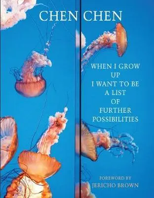 Când voi fi mare vreau să fiu o listă de alte posibilități - When I Grow Up I Want to Be a List of Further Possibilities
