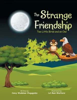 Strania prietenie: Două păsări mici și o bufniță - The Strange Friendship: Two Little Birds and an Owl