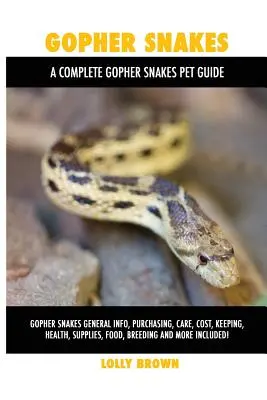 Șerpi Gopher: Șerpi Gopher Informații generale, cumpărare, îngrijire, costuri, păstrare, sănătate, consumabile, hrană, reproducere și multe altele incluse! A Com - Gopher Snakes: Gopher Snakes General Info, Purchasing, Care, Cost, Keeping, Health, Supplies, Food, Breeding and More Included! A Com
