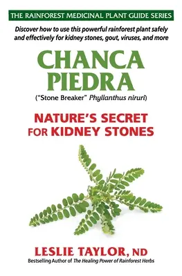 Chanca Piedra: Secretul naturii pentru pietrele la rinichi - Chanca Piedra: Nature's Secret for Kidney Stones