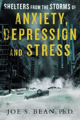 Adăposturi împotriva furtunilor de anxietate, depresie și stres - Shelters from the Storms of Anxiety, Depression and Stress