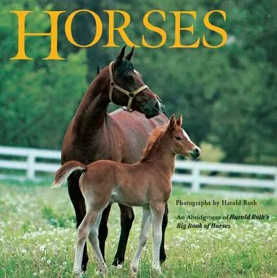 Cai: Un rezumat al cărții Big Book of Horses a lui Harold Roth - Horses: An Abridgement of Harold Roth's Big Book of Horses