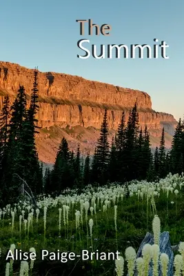 Summit-ul - The Summit
