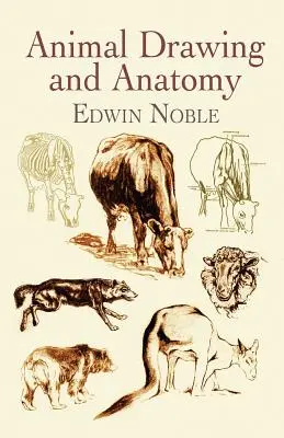 Desenul și anatomia animalelor - Animal Drawing and Anatomy