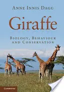 Girafă - Giraffe