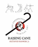 Raising Cane - Arta marțială neașteptată - Raising Cane - The Unexpected Martial Art