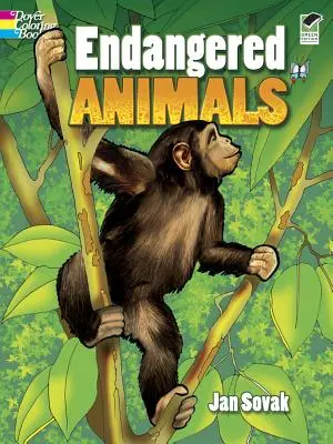 Animale pe cale de dispariție Carte de colorat - Endangered Animals Coloring Book