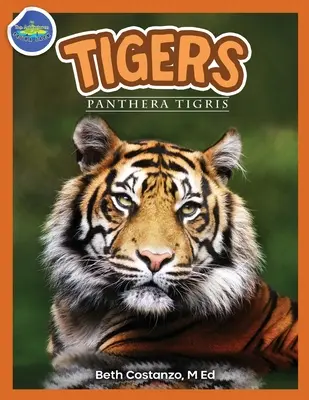 Tigri, Panthera Tigris 2-4 ani - Tigers, Panthera Tigris ages 2-4