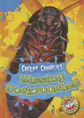 Gândaci șuierători - Hissing Cockroaches