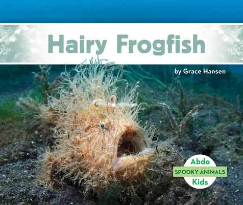 Peștele broască păros - Hairy Frogfish