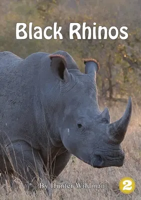 Rinocerii negri - Black Rhinos