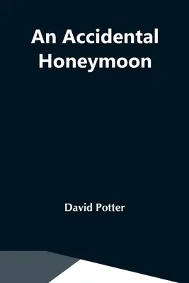 O lună de miere accidentală - An Accidental Honeymoon
