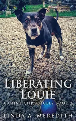 Eliberarea lui Louie: Drumul spre Rutland - Liberating Louie: The Road To Rutland