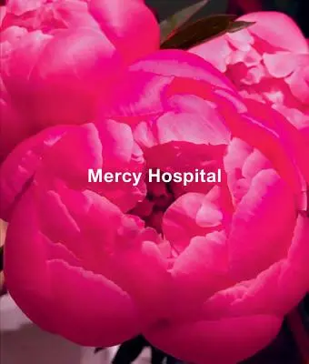 Ida Applebroog: Spitalul Mercy - Ida Applebroog: Mercy Hospital