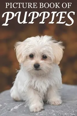Carte ilustrată cu cățeluși: Picture Book of Puppies: Pentru seniori cu demență [Cărți ilustrate drăguțe] - Picture Book of Puppies: Picture Book of Puppies: For Seniors with Dementia [Cute Picture Books]