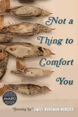 Nici un lucru care să te consoleze - Not a Thing to Comfort You
