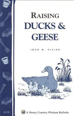 Creșterea rațelor și gâștelor: Storey's Country Wisdom Bulletin A-18 - Raising Ducks & Geese: Storey's Country Wisdom Bulletin A-18