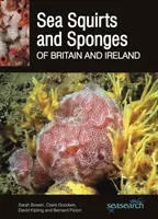 Squirts și bureți de mare din Marea Britanie și Irlanda - Sea Squirts and Sea Sponges of Britain and Ireland