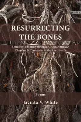 Resuscitând oasele: Născut dintr-o călătorie prin bisericile și cimitirele afro-americane din sudul rural - Resurrecting the Bones: Born from a Journey through African American Churches & Cemeteries in the Rural South