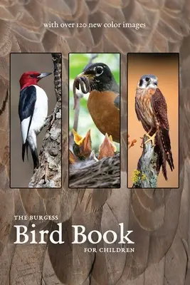 The Burgess Bird Book cu noi imagini color - The Burgess Bird Book with new color images