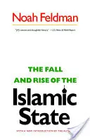Căderea și ascensiunea Statului Islamic - The Fall and Rise of the Islamic State