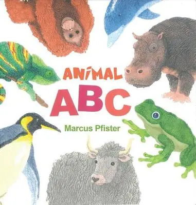 ABC-ul animalelor - Animal ABC
