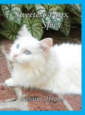 Cele mai dulci pururi, picante - Sweetest Purrs, Spicy