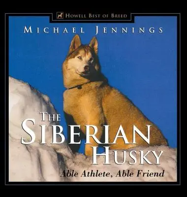 Husky-ul siberian: Un atlet capabil, un prieten capabil - The Siberian Husky: Able Athlete, Able Friend