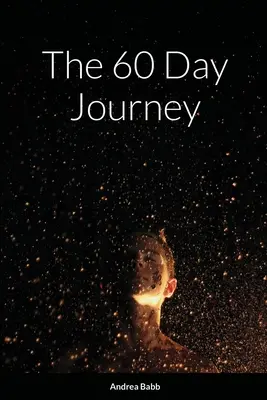 Călătoria de 60 de zile - The 60 Day Journey