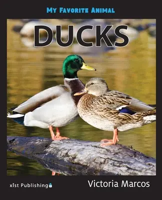 Animalul meu preferat: Rațe - My Favorite Animal: Ducks