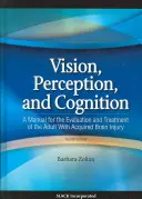 Viziune, percepție și cogniție: Un manual pentru evaluarea și tratamentul adultului cu leziuni cerebrale dobândite (A Manual for the Evaluation and Treatment of the Adult with Acquired Brain Injury) - Vision, Perception, and Cognition: A Manual for the Evaluation and Treatment of the Adult with Acquired Brain Injury