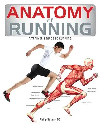 Anatomia alergării - Anatomy of Running