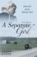 Un Dumnezeu separat: Jurnalul unei fete Amish - A Separate God: Journal of an Amish Girl