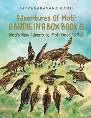 Aventurile lui Moti O pasăre în cutie Cartea 6: Noua aventură a lui Moti. Moti Goes To Bat - Adventures Of Moti A Birdie In A Box Book 6: Moti's New Adventure. Moti Goes To Bat