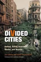 Orașe divizate: Belfast, Beirut, Ierusalim, Mostar și Nicosia - Divided Cities: Belfast, Beirut, Jerusalem, Mostar, and Nicosia