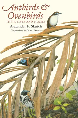 Furnicuțe și păsări de cuptor: Viețile și casele lor - Antbirds and Ovenbirds: Their Lives and Homes